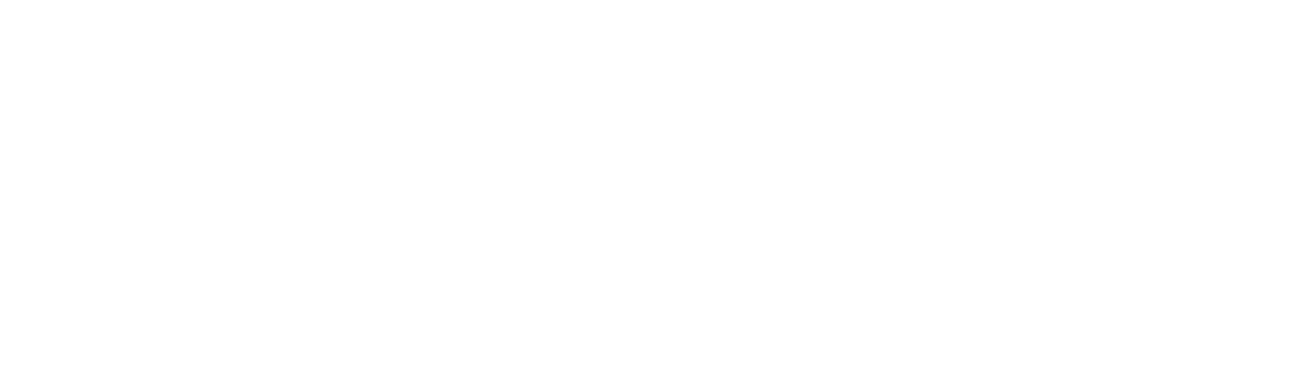 Nordic_Logo_V_White-01[2]