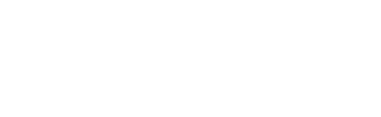 Wellis Logo
